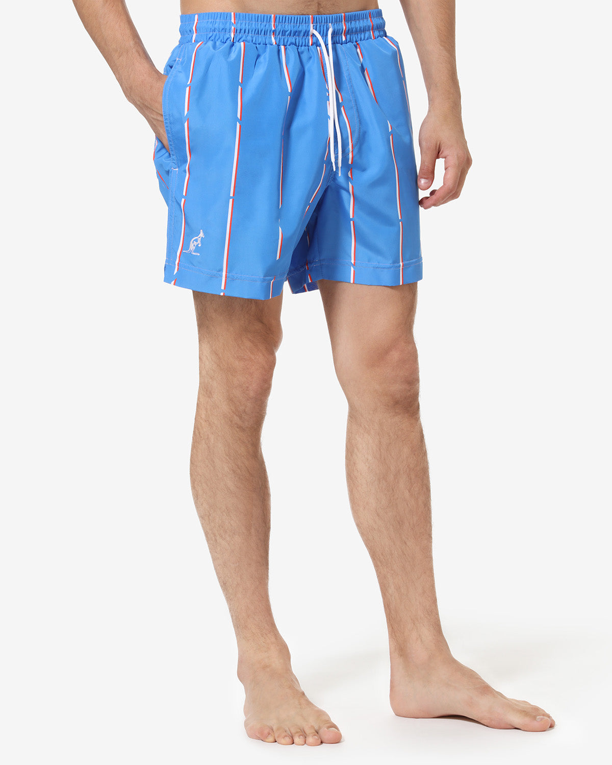 Stripe Swimshort: Australian Sportswear