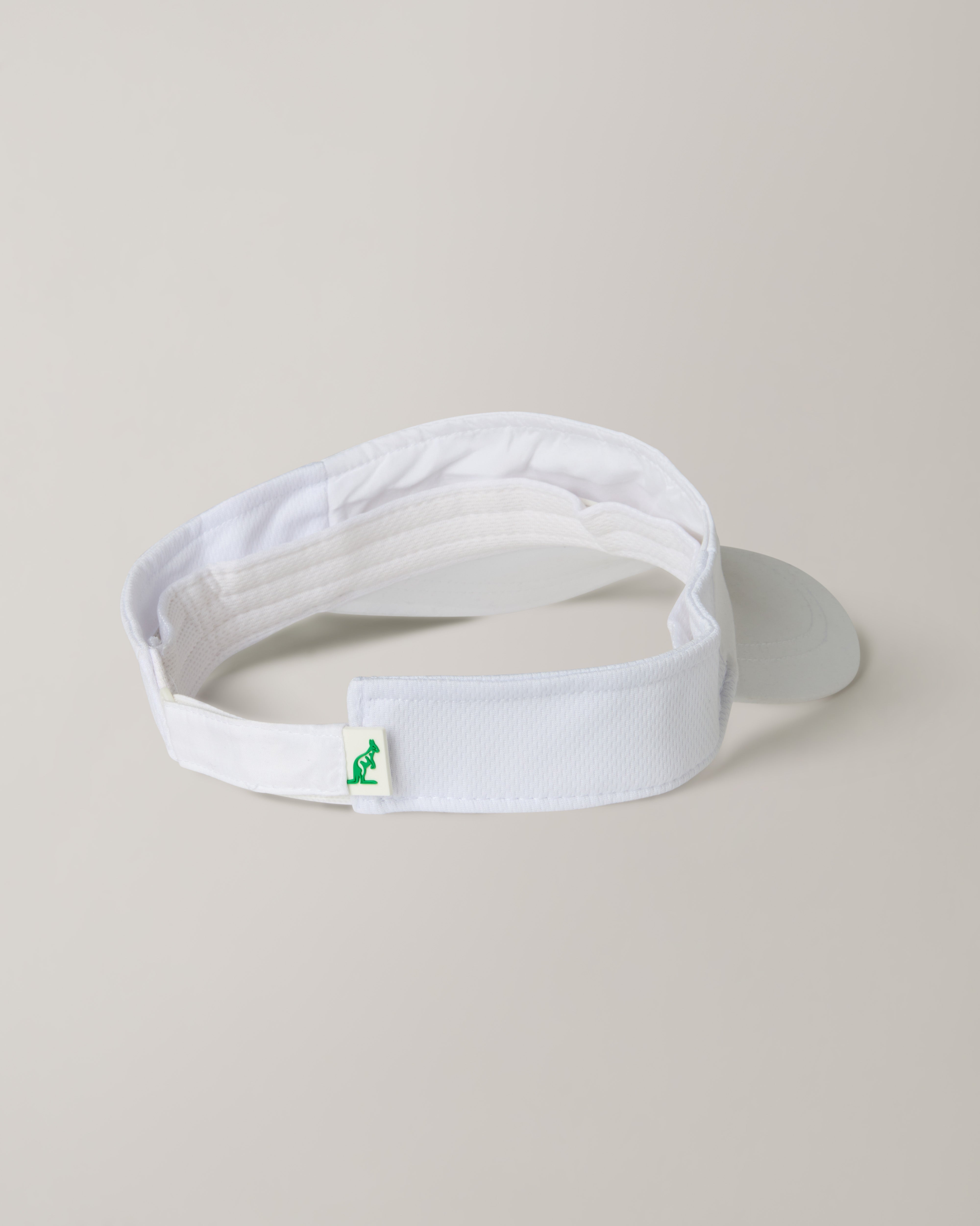 Visor Logo